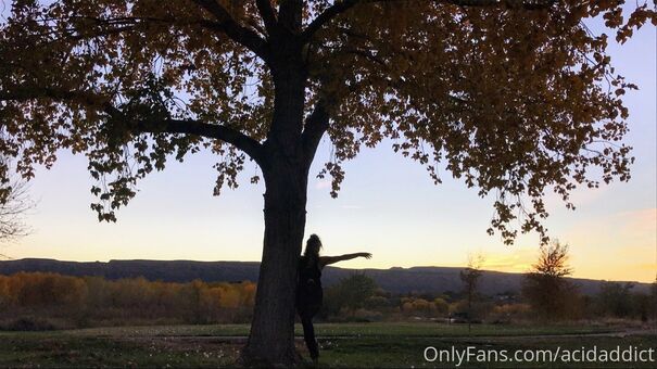 acidaddict