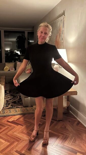 Amy Schumer Foto Desnuda Filtrada OnlyFans 53