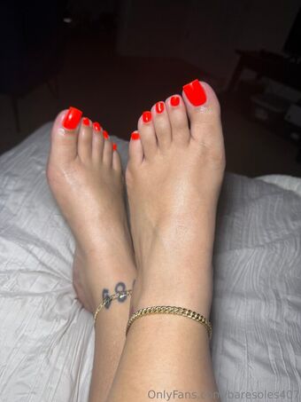 baresoles407