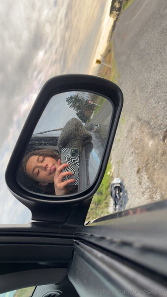 breeskylar