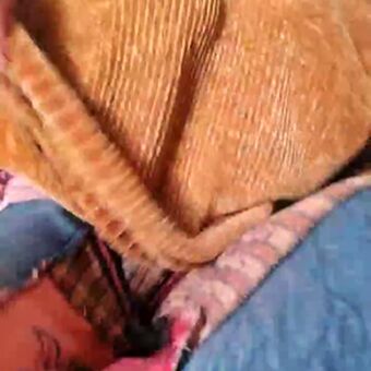 Cami Sweet Foto Desnuda Filtrada OnlyFans 40