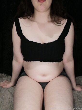 chubbycanary