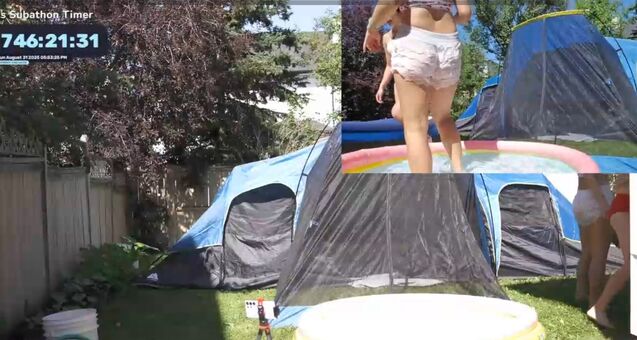 dalcompeach
