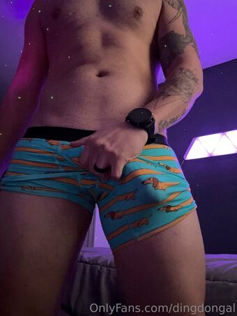dingdongal Foto Desnuda Filtrada OnlyFans 6