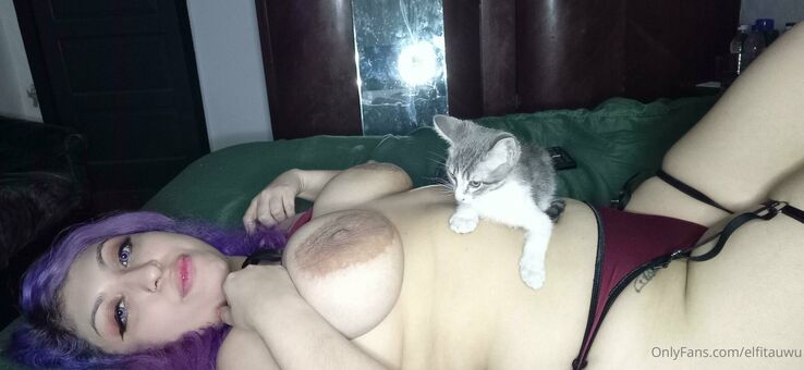 elfitauwu Foto Desnuda Filtrada OnlyFans 16