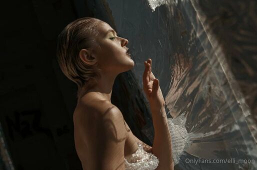 elli_moon