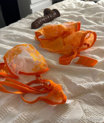 evierosewell Foto Desnuda Filtrada OnlyFans 10