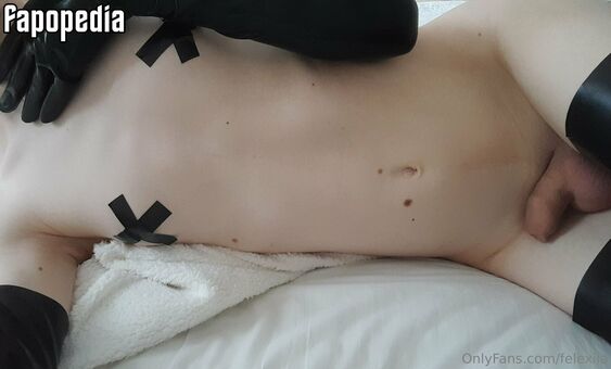 Felexiia Foto Desnuda Filtrada OnlyFans 45