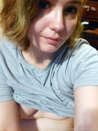 freephoenixxcreates Foto Desnuda Filtrada OnlyFans 11