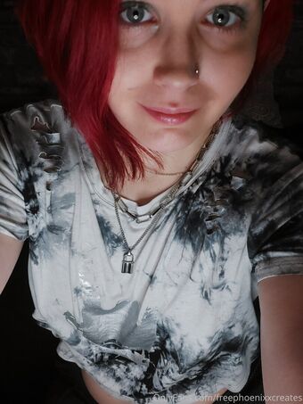 freephoenixxcreates Foto Desnuda Filtrada OnlyFans 17