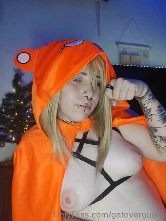 gatoverguero