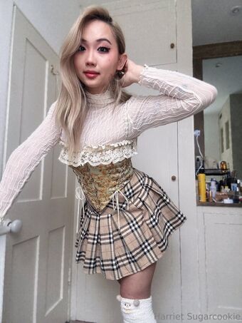 harrietsugarcookie