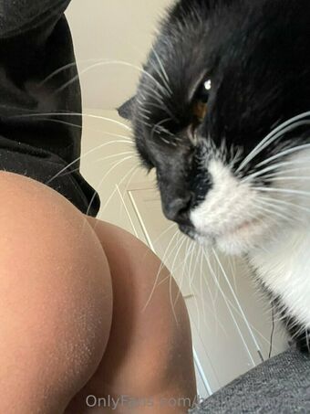 hollymoonvvip Foto Desnuda Filtrada OnlyFans 3