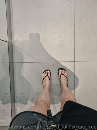 honey_d_follow_me_free