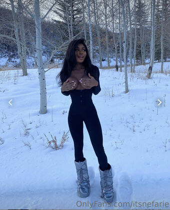 Itsnefarie