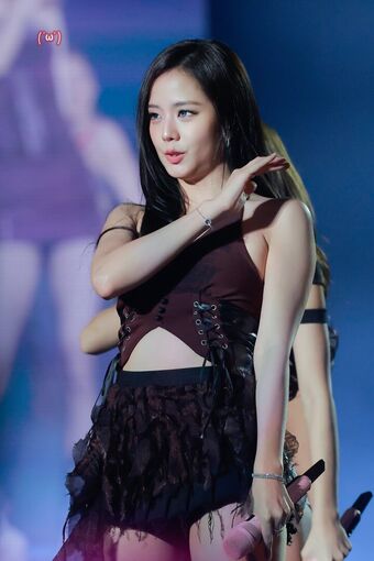 Jisoo Foto Desnuda Filtrada OnlyFans 750