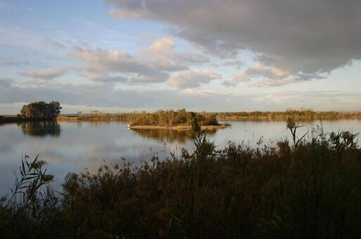 juliebacha Foto Desnuda Filtrada OnlyFans 10