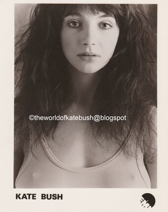 Kate Bush