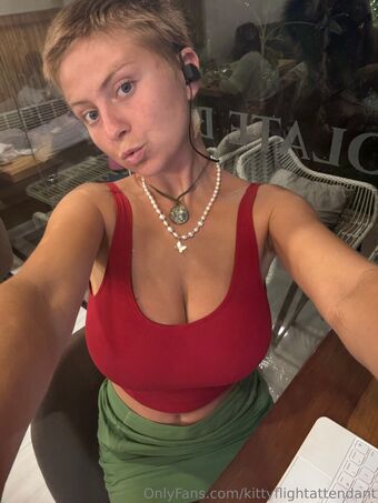 Kittyflightattendant