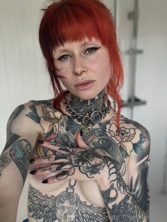 Kittykaoss