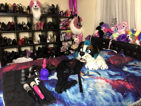 lexipuppy