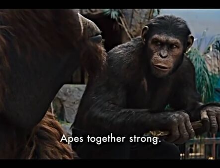 lilijunex Foto Desnuda Filtrada OnlyFans 125