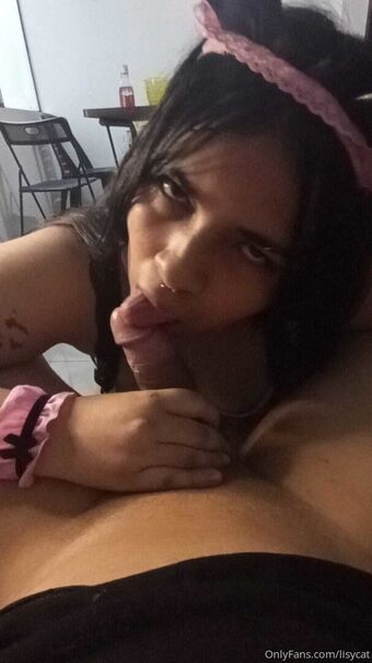 LisyCat