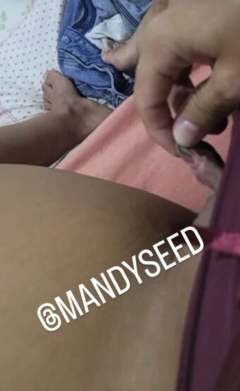 Mandyseed