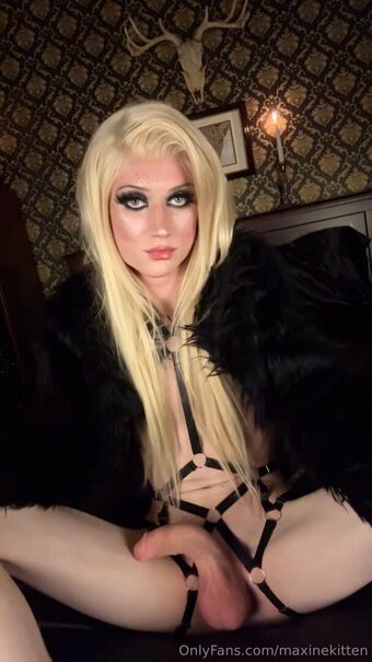 maxinekitten