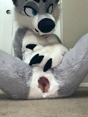 Murrsuit