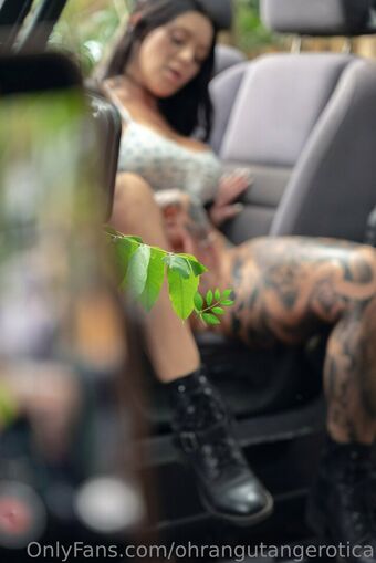 ohrangutangerotica