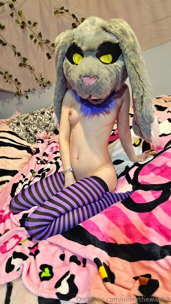 oliverthewabbit