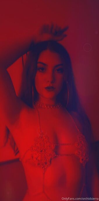 orchidsierra
