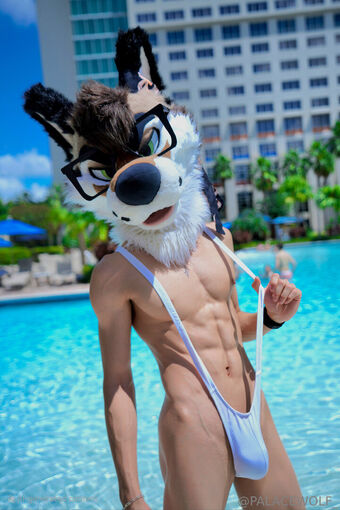 palacewolf Foto Desnuda Filtrada OnlyFans 39