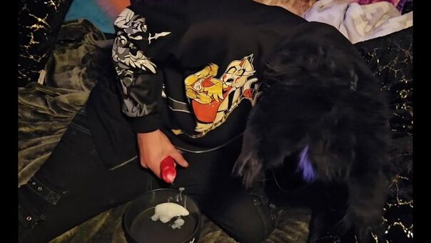 pawsheisty Foto Desnuda Filtrada OnlyFans 7