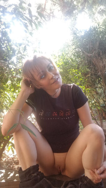 Phaestar