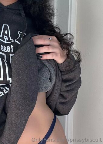 prissybiscuit Foto Desnuda Filtrada OnlyFans 18