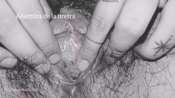 Professionals Foto Desnuda Filtrada OnlyFans 45