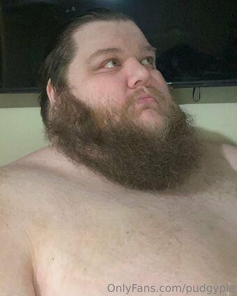pudgypie