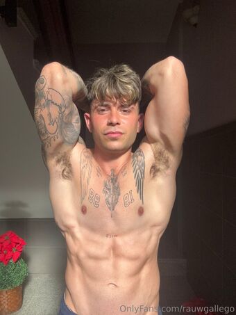 rauwgallego