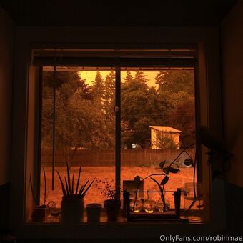RobinMae