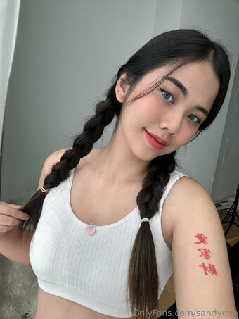 sandydao