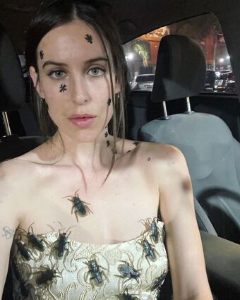 Scout Willis