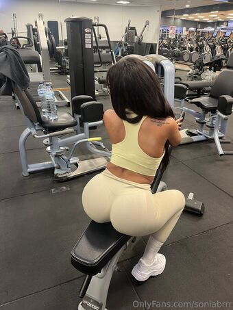 soniabmodel