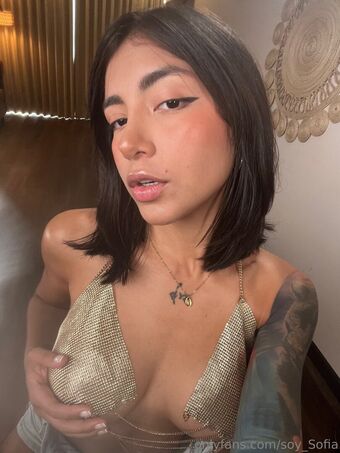 soysofia_2 Foto Desnuda Filtrada OnlyFans 54