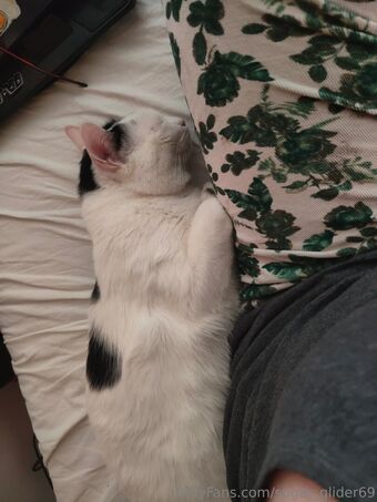 sugar_glider69