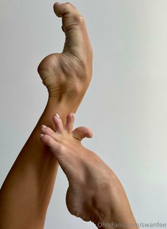 swanfee Foto Desnuda Filtrada OnlyFans 15