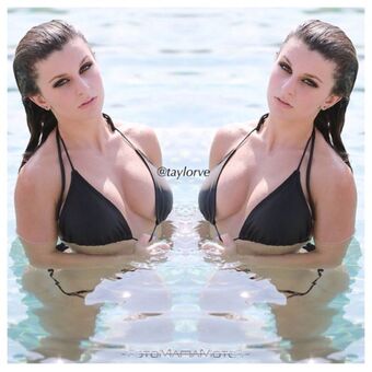 Taylore vertucci