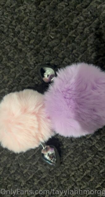 tayylahhmorggann