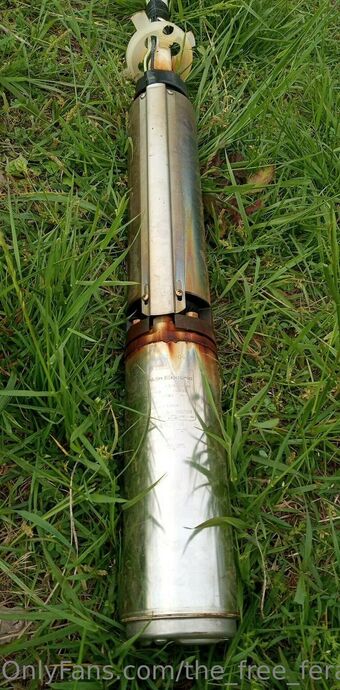 the_free_feral_floozy